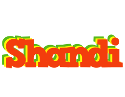 Shandi bbq logo