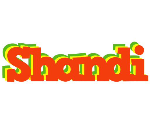 Shandi bbq logo
