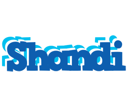 Shandi business logo