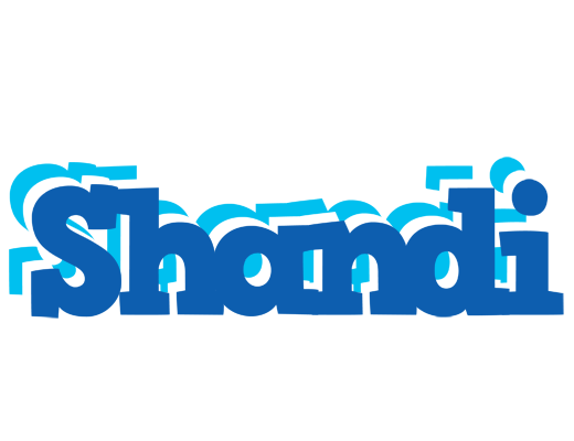 Shandi business logo
