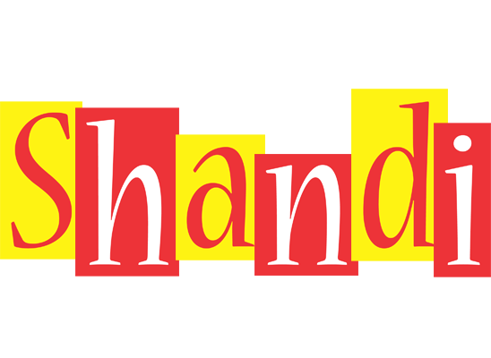 Shandi errors logo