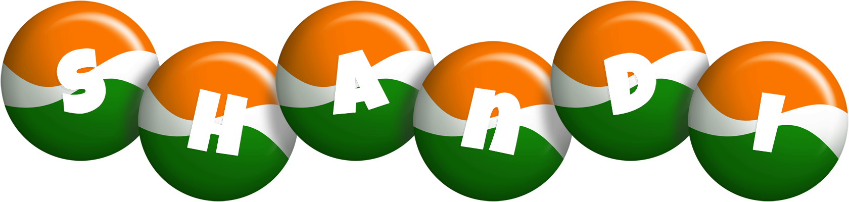 Shandi india logo