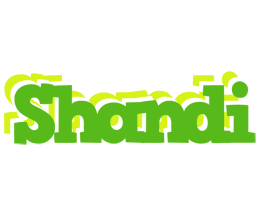 Shandi picnic logo