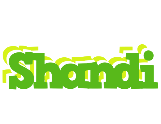 Shandi picnic logo