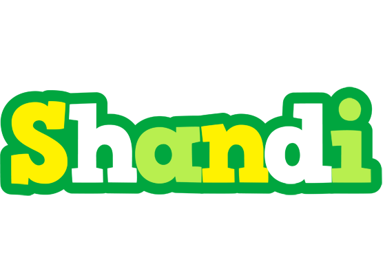 Shandi soccer logo