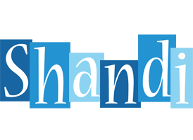 Shandi winter logo