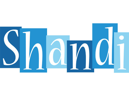 Shandi winter logo