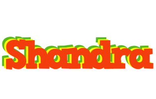 Shandra bbq logo