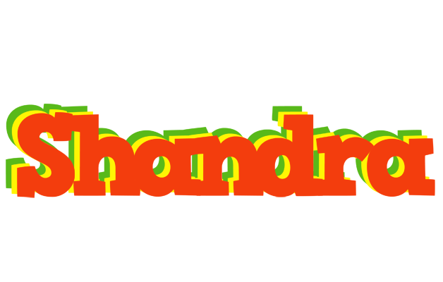 Shandra bbq logo