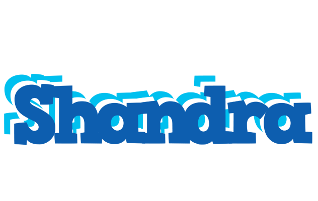 Shandra business logo