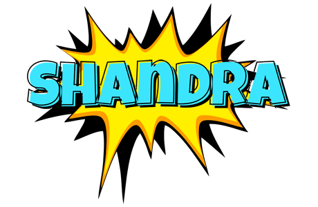 Shandra indycar logo