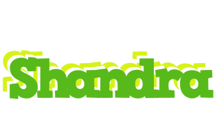 Shandra picnic logo