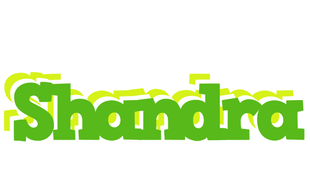 Shandra picnic logo
