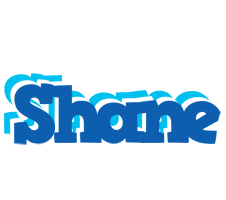 Shane business logo