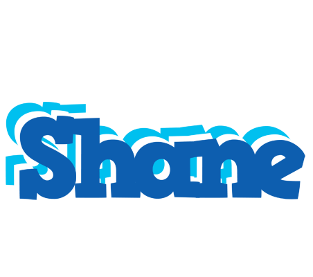 Shane business logo