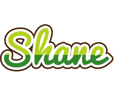 Shane golfing logo