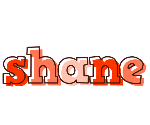 Shane paint logo