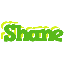 Shane picnic logo