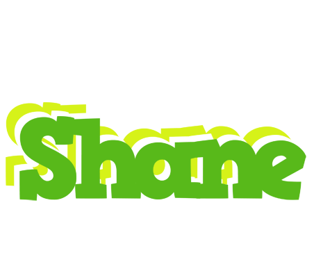 Shane picnic logo