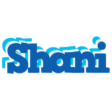 Shani business logo