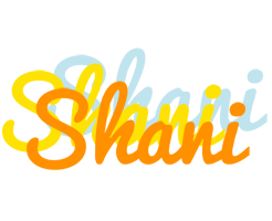 Shani energy logo