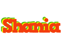 Shania bbq logo
