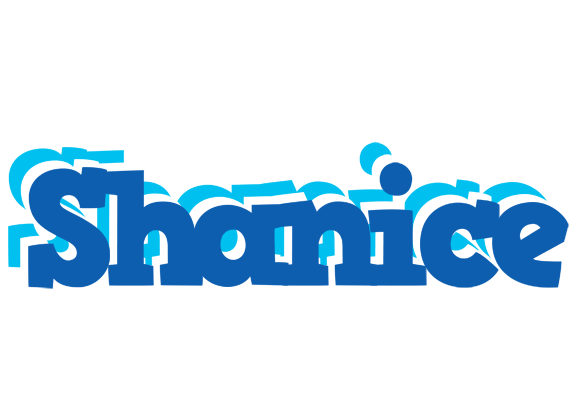 Shanice business logo