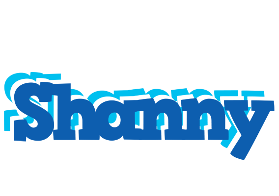 Shanny business logo
