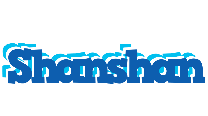 Shanshan business logo