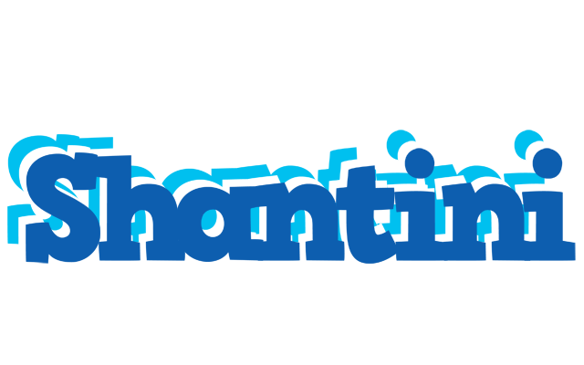 Shantini business logo