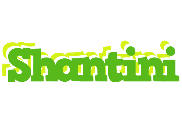 Shantini picnic logo