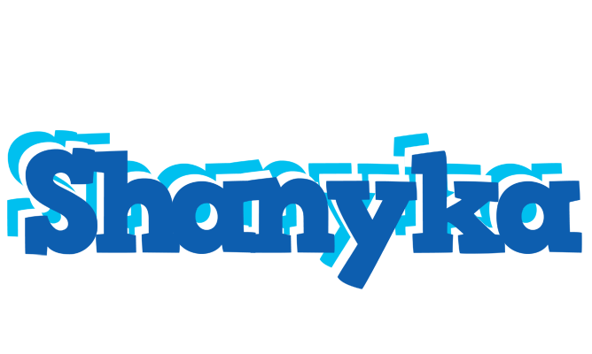 Shanyka business logo