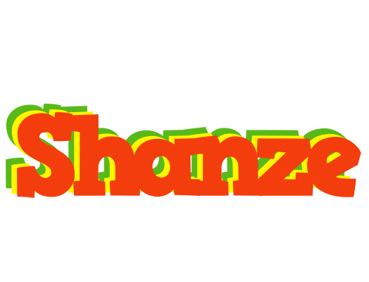 Shanze bbq logo