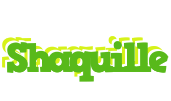 Shaquille picnic logo