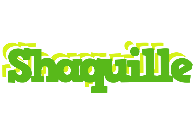 Shaquille picnic logo