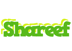 Shareef picnic logo