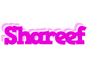 Shareef rumba logo