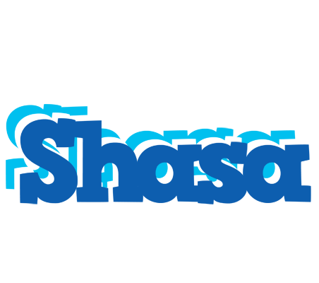 Shasa business logo