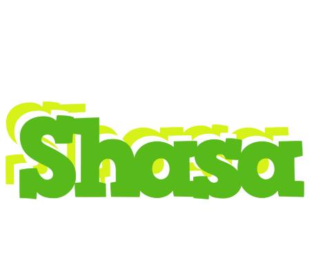 Shasa picnic logo