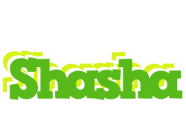 Shasha picnic logo