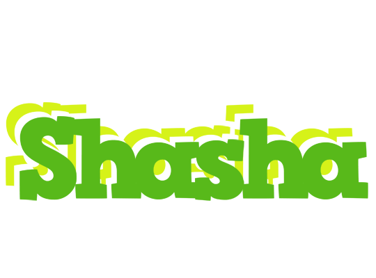 Shasha picnic logo