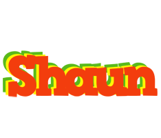 Shaun bbq logo