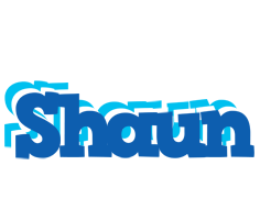 Shaun business logo