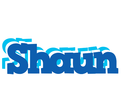 Shaun business logo