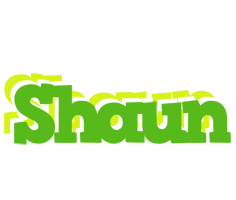 Shaun picnic logo