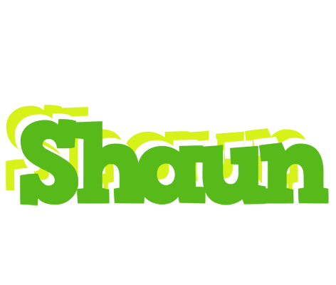 Shaun picnic logo