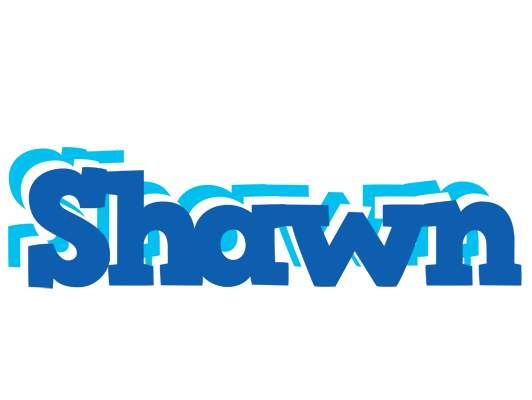 Shawn business logo