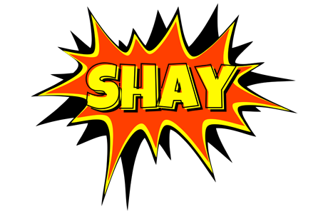 Shay bazinga logo