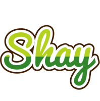 Shay golfing logo