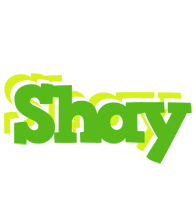 Shay picnic logo